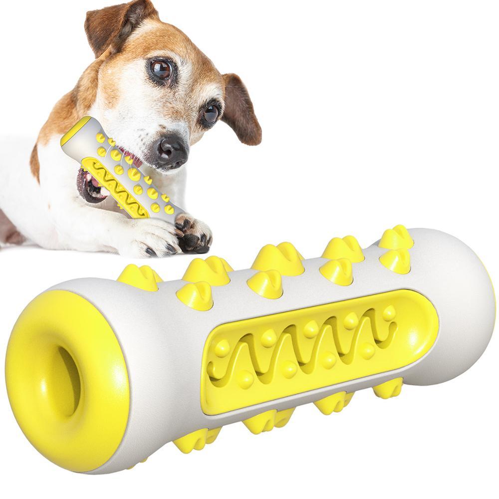 Dog Squeaky Toys