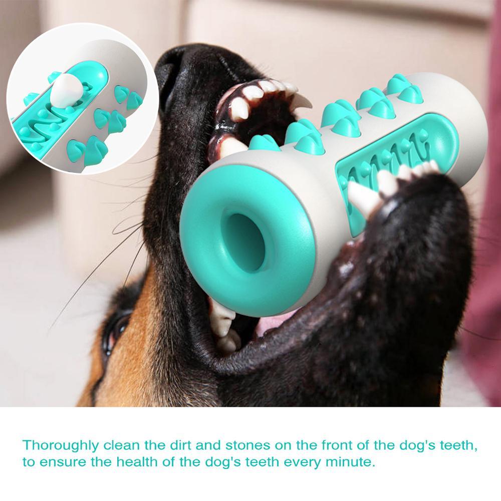 Dog Squeaky Toys